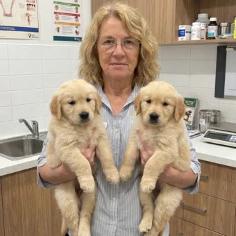 Pet care professional